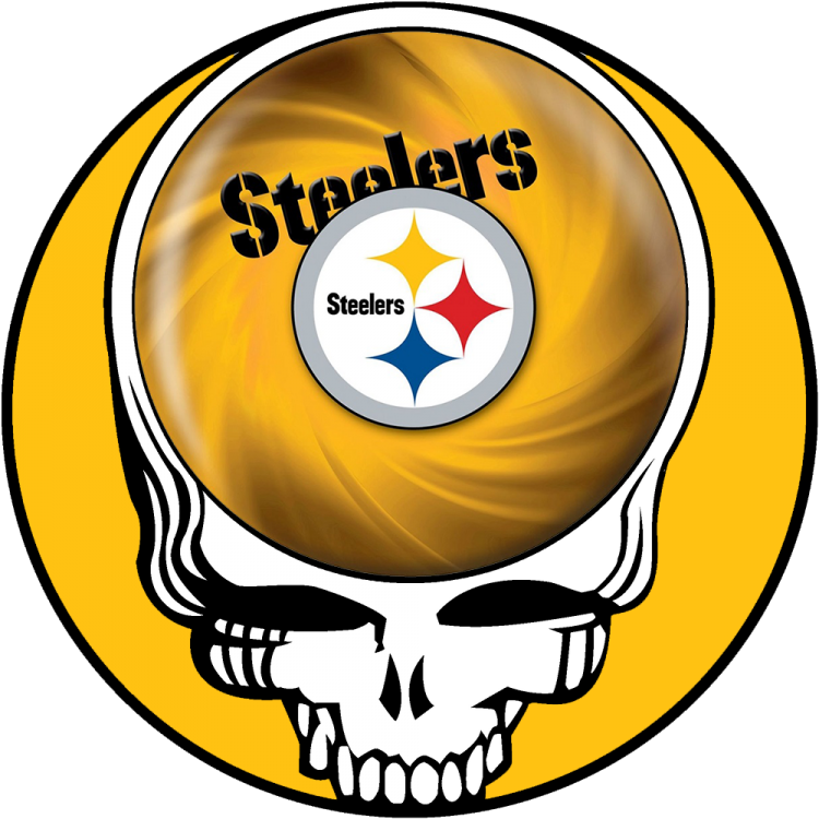 Pittsburgh Steelers skull logo iron on transfers